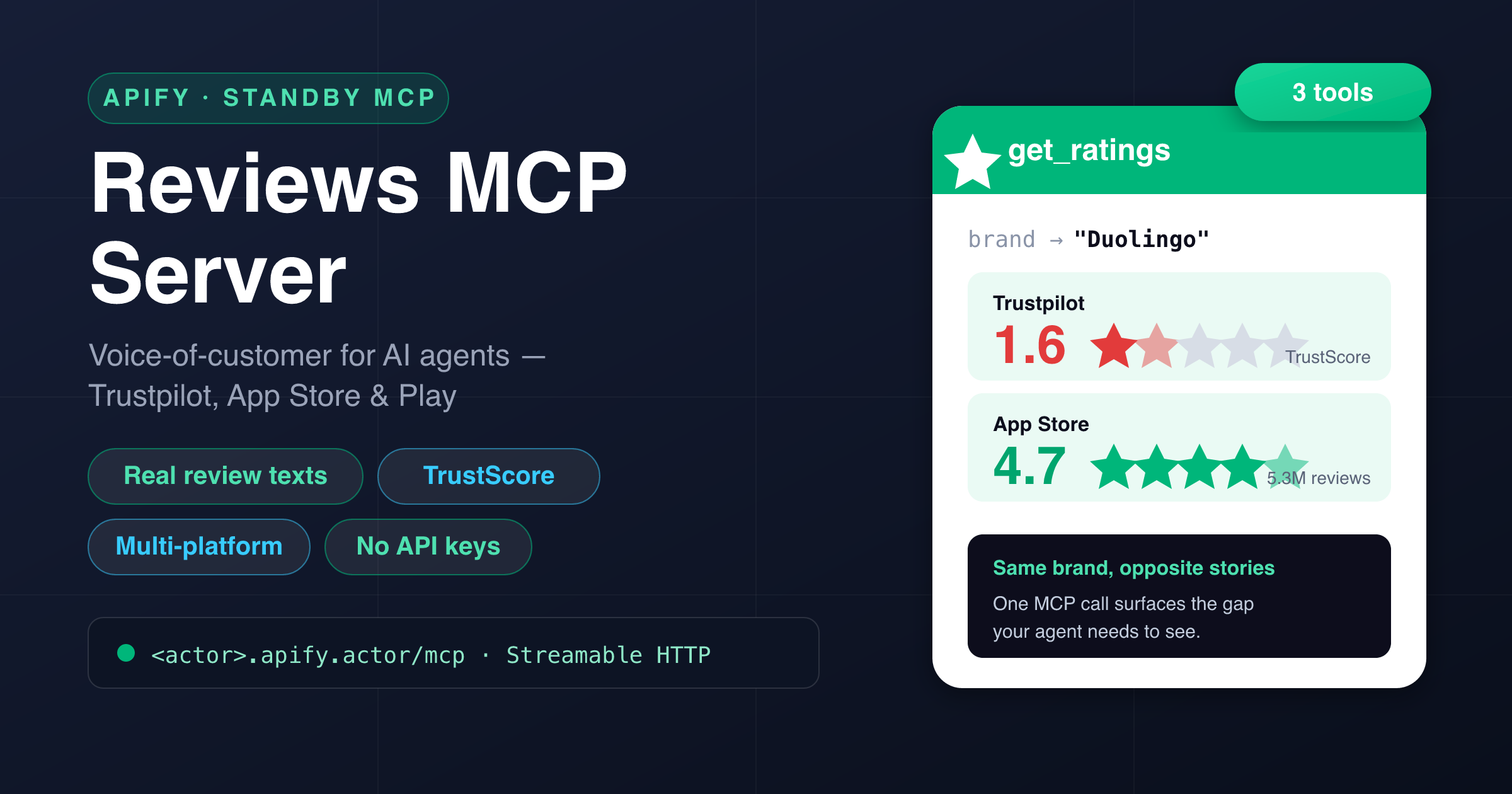 Reviews MCP Server — a hosted Model Context Protocol server with find_company, get_reviews and get_ratings tools for voice-of-customer research